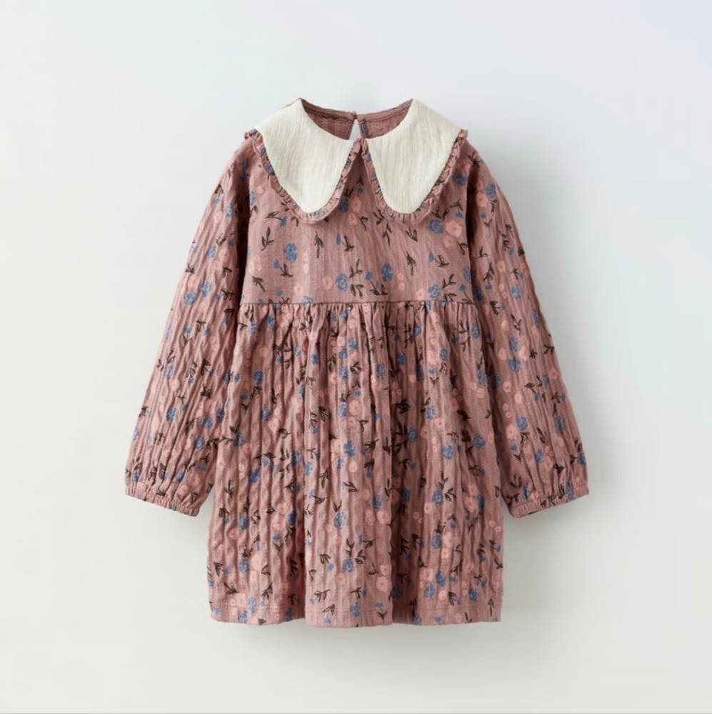Zara Toddler Peter Pan Dress
